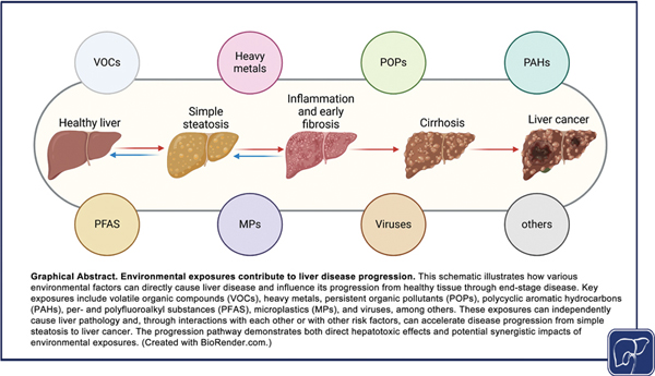 2-Environmental Pollutants.jpg
