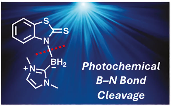 Synthesis-Homolytic Photocleavage.jpg