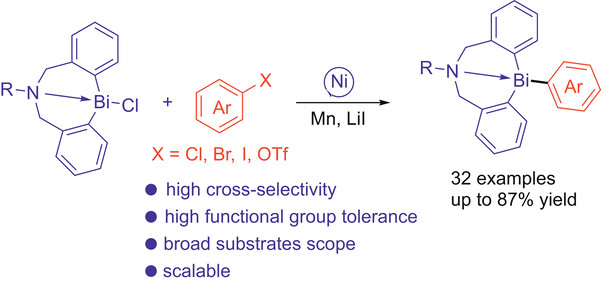 Synthesis_Nickel-Catalyzed Reductive.jpg