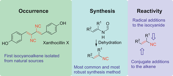 Synthesis_Isocyanoalkenes.jpg