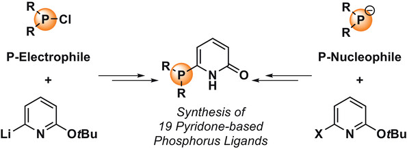Synthesis_Synthesis of Symmetric.jpg