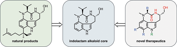 Synlett_Indolactam Alkaloids.gif