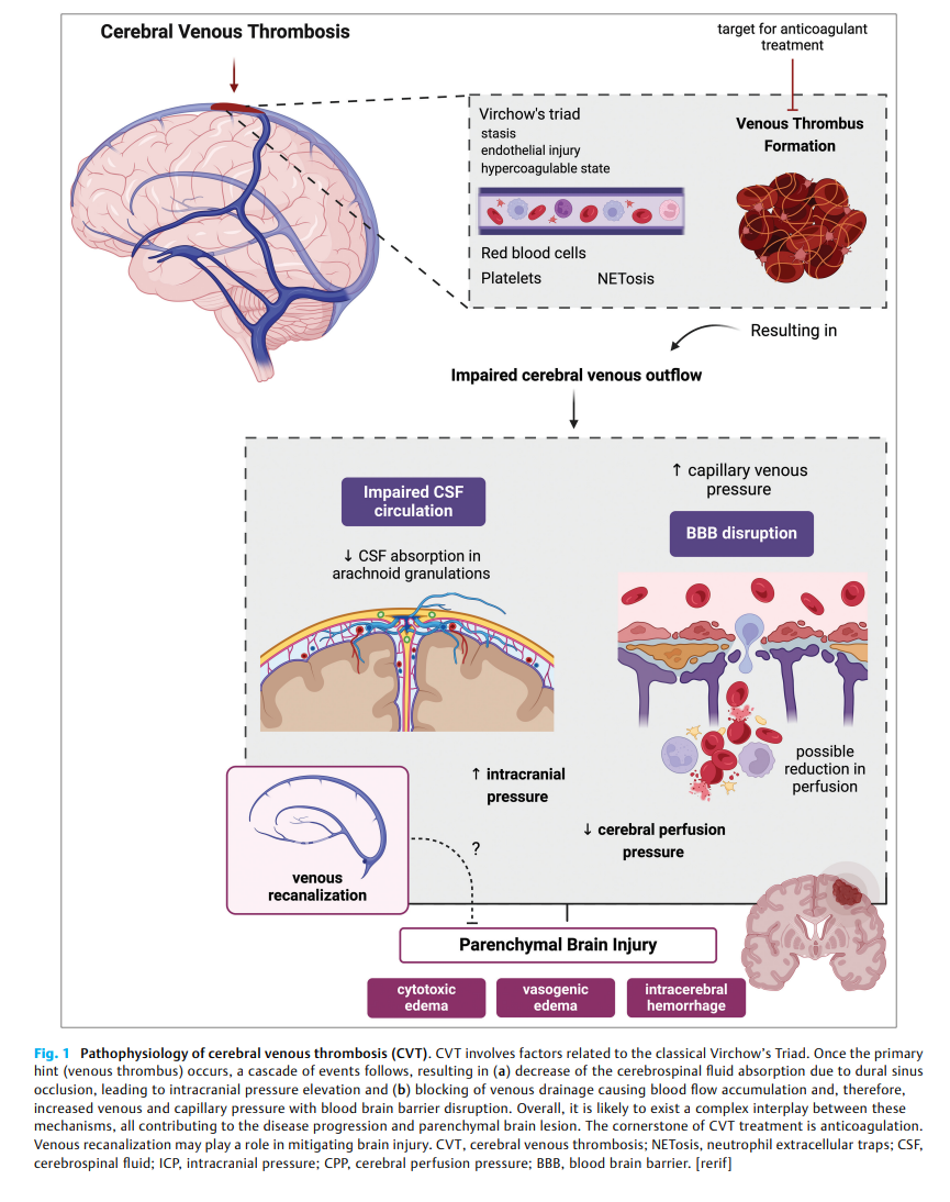 屏幕截图 2025-11-07 160751.png