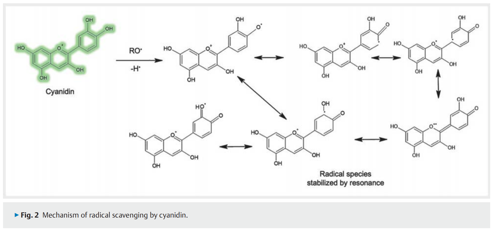695cc43cd4d1f.png The Medicinal .png