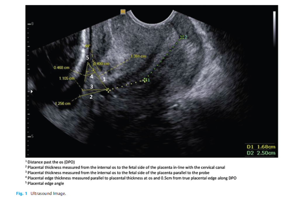 屏幕截图 2026-01-19 161001.png