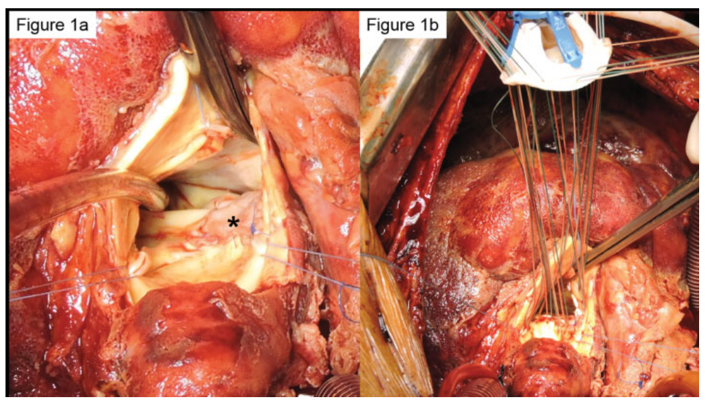 6972e2985b4dd.png 屏幕截图 2026-01-20 093524.png