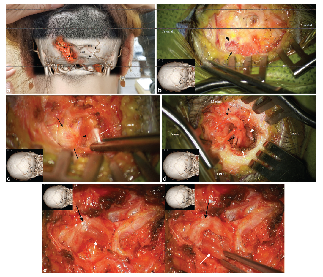 69782e7b174e4.png ScreenShot_2026-01-27_100941_339.png