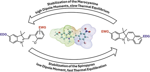 69788b028e5d7.jpg Synthesis_New Insight.jpg