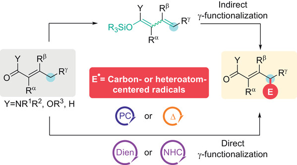 69788b1520cc3.jpg Synthesis_Advances.jpg