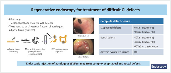 699eabf77394f.jpg Regenerative endoscopy.jpg