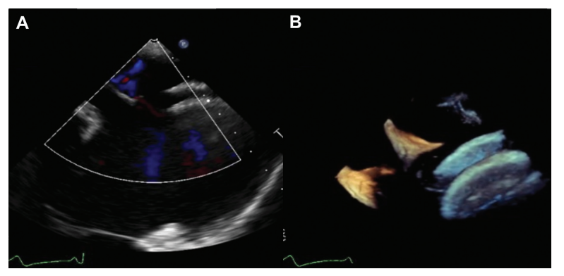 699ffaa23da06.png 屏幕截图 2026-02-02 110227.png