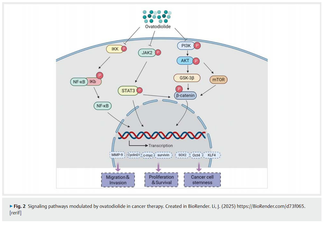屏幕截图 2026-03-03 174259.png