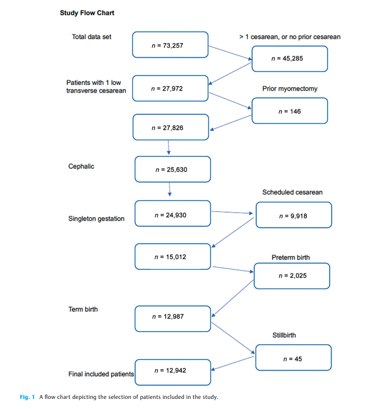 A Novel and Modern 2.png