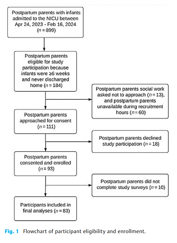 Associations of NICU-Specific Stressors with Postpartum 2.png