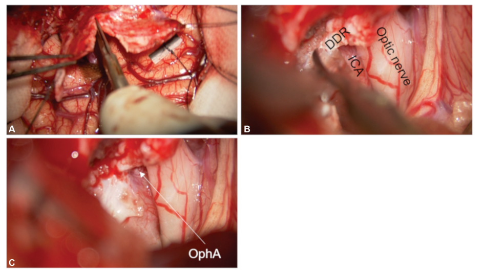 69d4af0267901.png 屏幕截图 2026-04-02 103045.png
