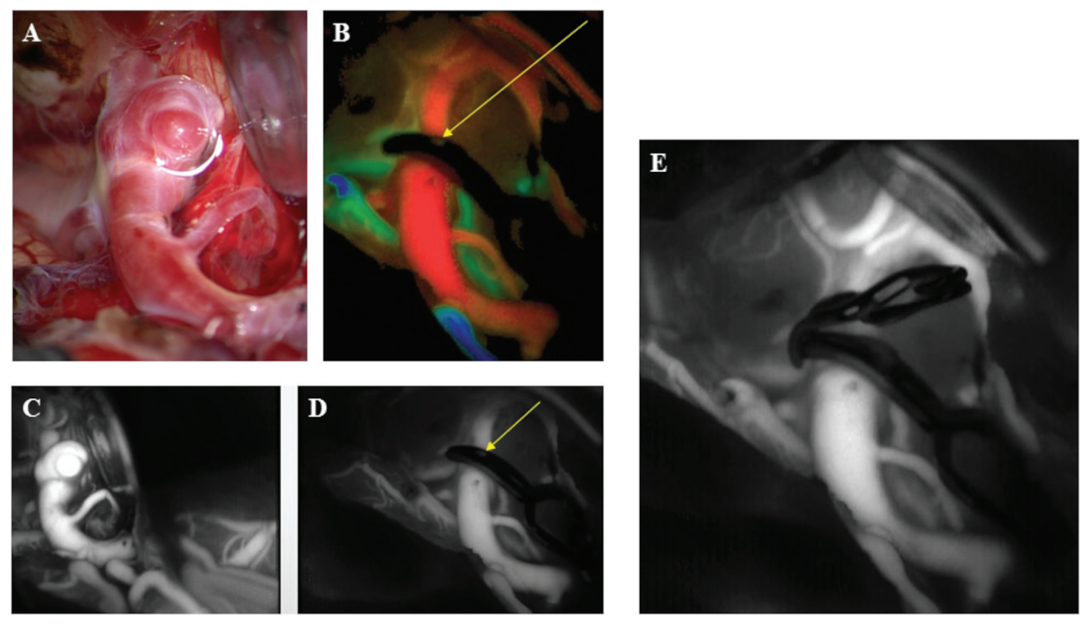 屏幕截图 2026-04-02 112240.png