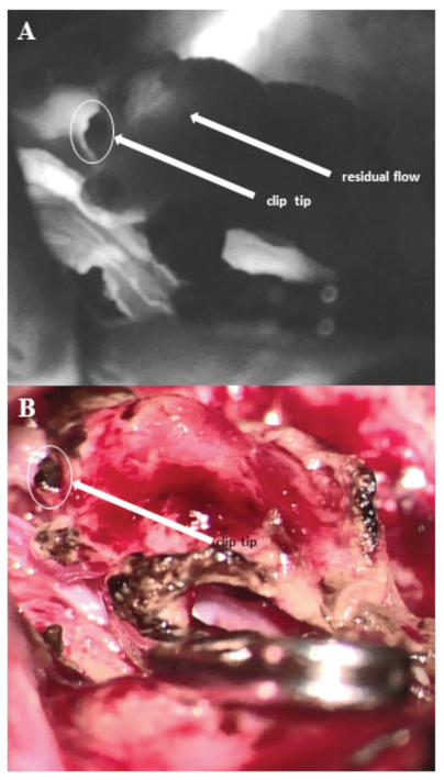 屏幕截图 2026-04-02 112321.png