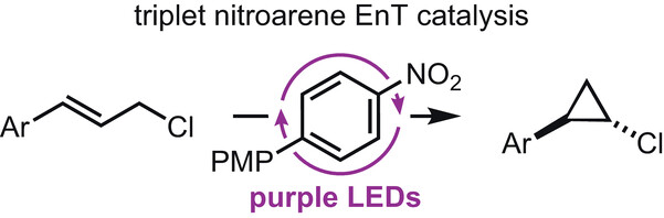 Nitroarenes as EnT Photocatalysts.jpg