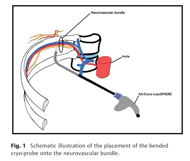 屏幕截图 2026-04-21 102437.png
