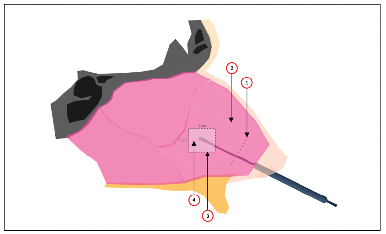 屏幕截图 2026-04-21 172014.png