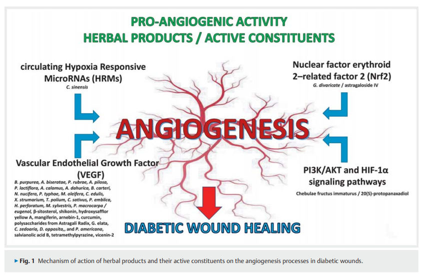 6a01a181d2856.png Effect of Herbal Products 2.png
