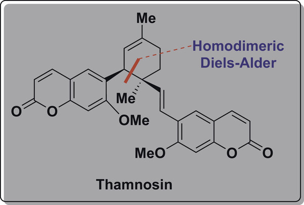 6a14fd30f240a.jpg Synlett_Biomimetic Total Synthesis.jpg