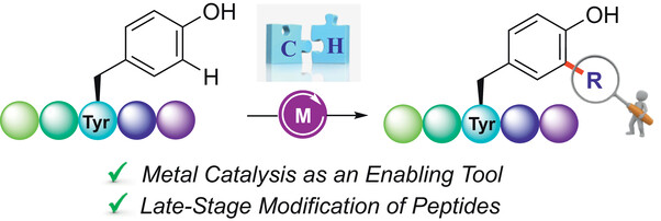 Synlett_Metal Catalysis within.jpg