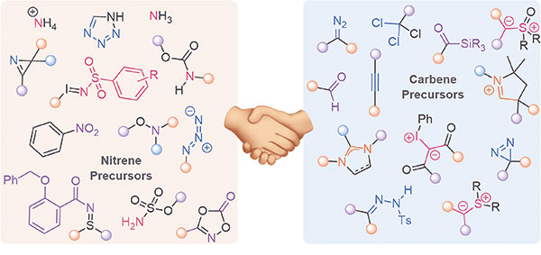 SynOpen_Carbene and Nitrene Precursors.jpg
