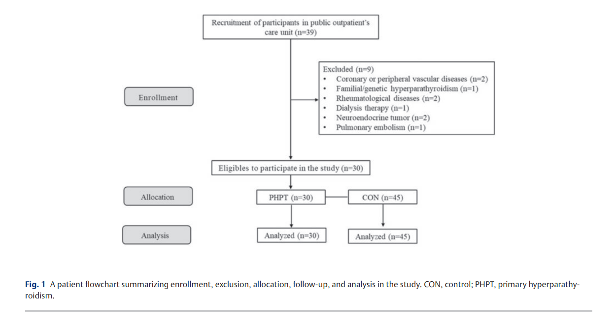 Evaluation of Endothelial Responses 2.png