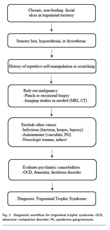 Trigeminal Trophic Syndrome 2.png