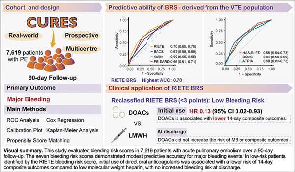 6a826d5f1c747.jpg Performance of Bleeding Risk.jpg
