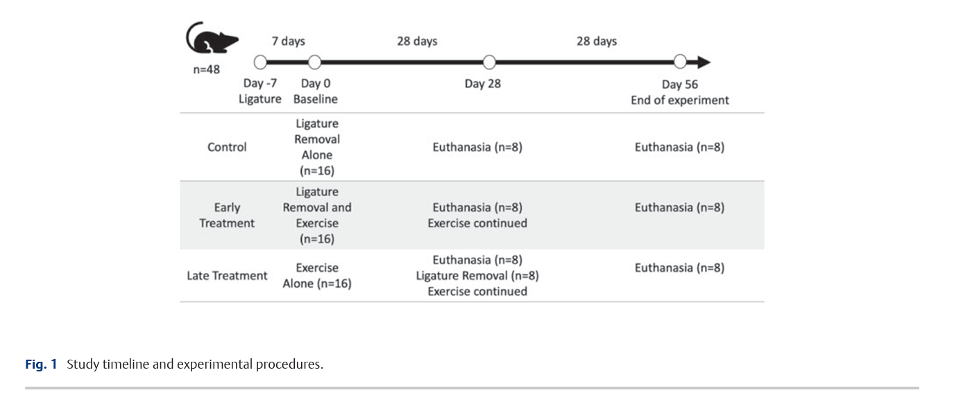6a882087ecd14.png Exercise Improves Periodontal Repair 2.png