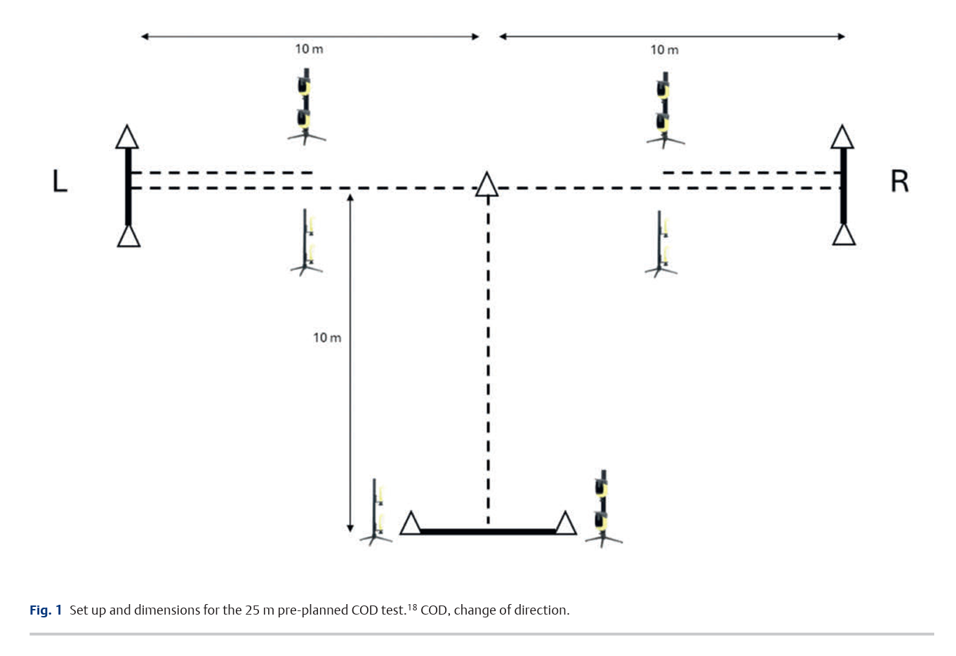 6a882096adcd9.png Seasonal Physical Performance 2.png