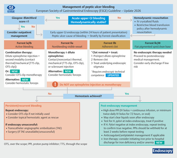 6a8ba6ee67222.jpg Endoscopic diagnosis and management.jpg