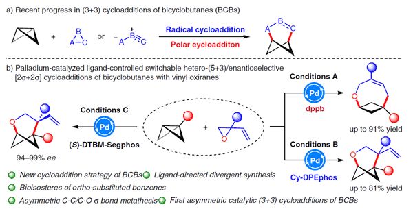 6aa8a7e3818e5.gif Recent Progress in (3+3) Cycloadditions.gif