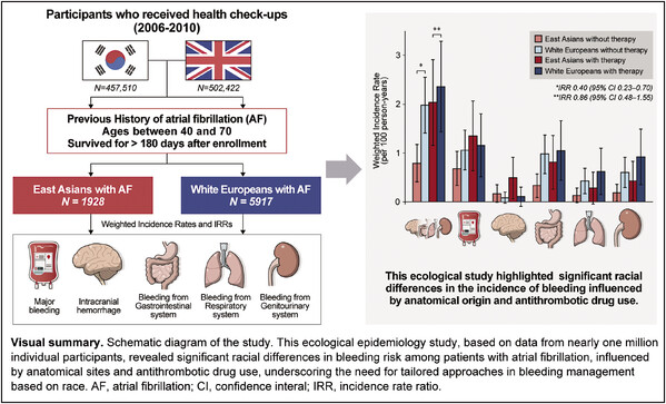 6ab0f1a1829c7.jpg Racial Differences in Bleeding Risks.jpg
