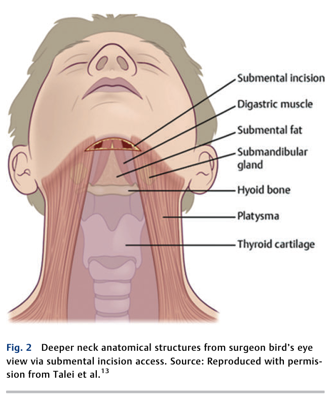 6ac725d5d71b1.png Neck Contouring Prejuvenation Techniques 2.png
