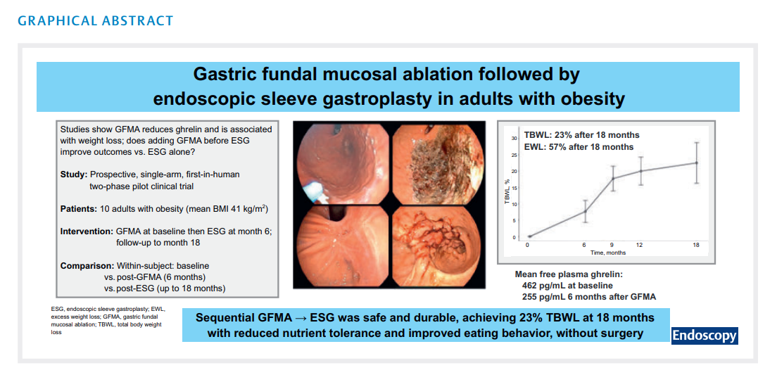 6ad8b9eda63b2.png Gastric fundal mucosal 2.png